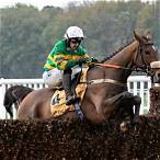 bet fred grand national